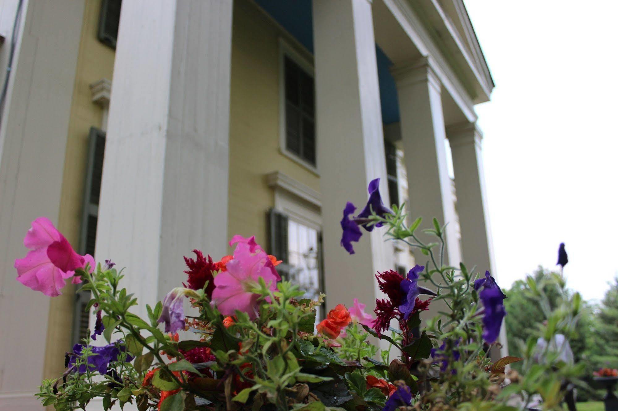 Oakcliff Bed And Breakfast Halfmoon Esterno foto